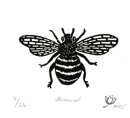 Hummel #01