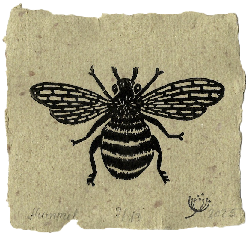Hummel #03
