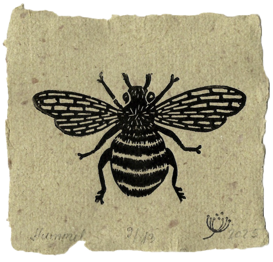 Hummel #03