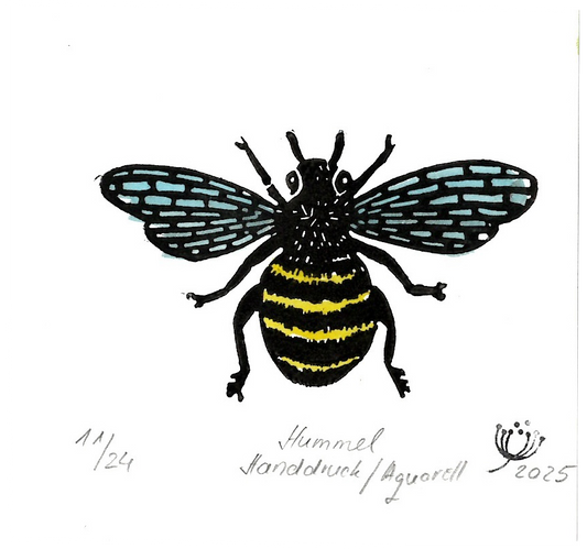 Hummel farbig # 02