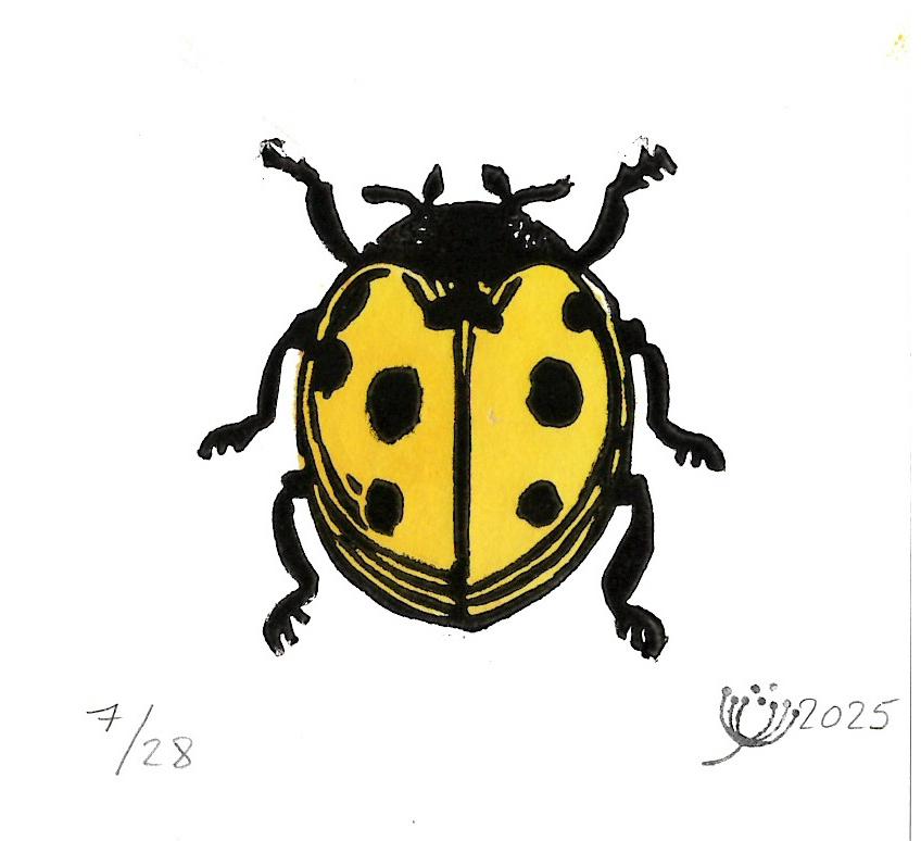 Marienkäfer Gelb #03