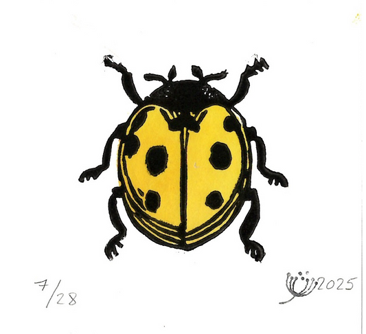Marienkäfer Gelb #03