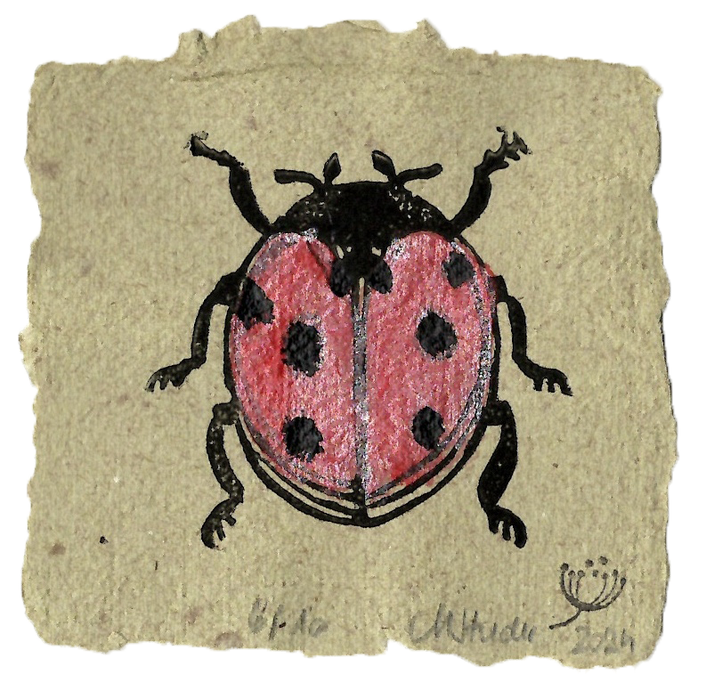 Marienkäfer Rot #04