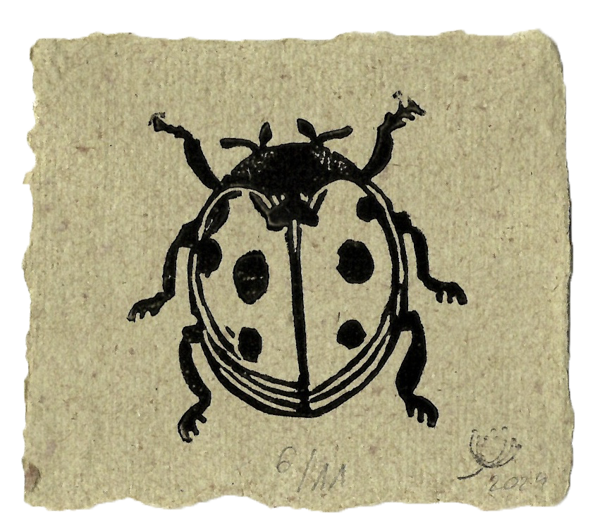 Marienkäfer #04