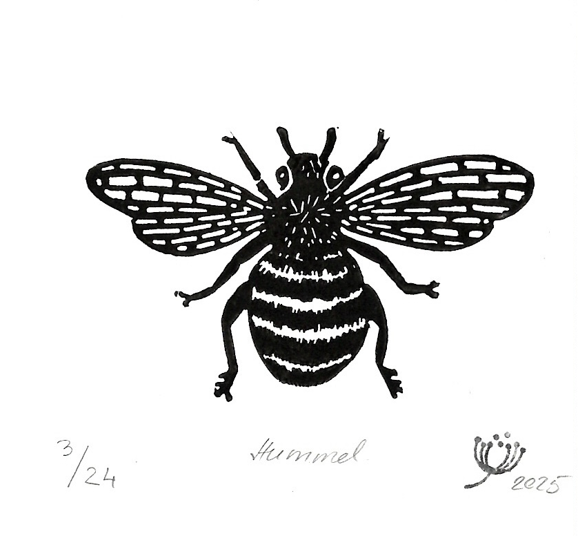 Hummel  #01