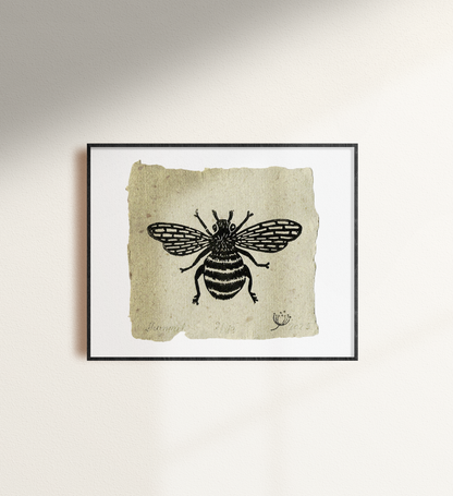 Hummel  #03