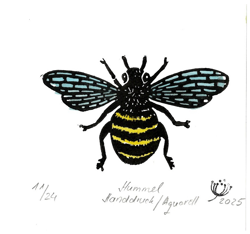 Hummel farbig # 02