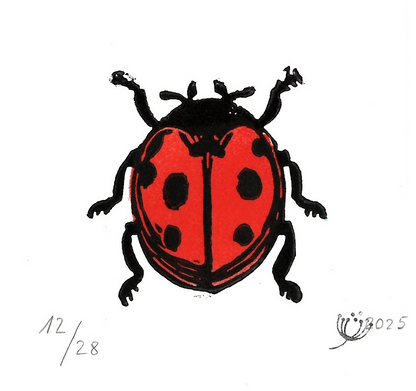 Marienkäfer Rot #02