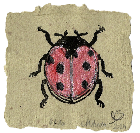 Marienkäfer Rot #04