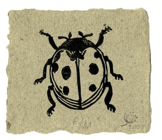 Marienkäfer #04