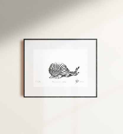 Weinbergschnecke # 01
